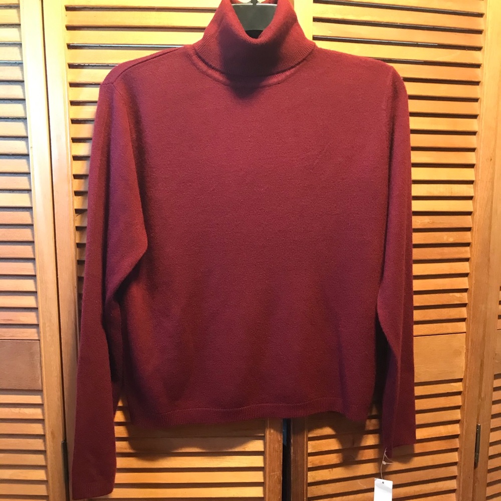 Imagio Maroon Turtleneck Sweater